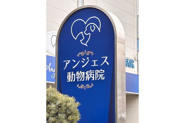 �ŔC���[�W