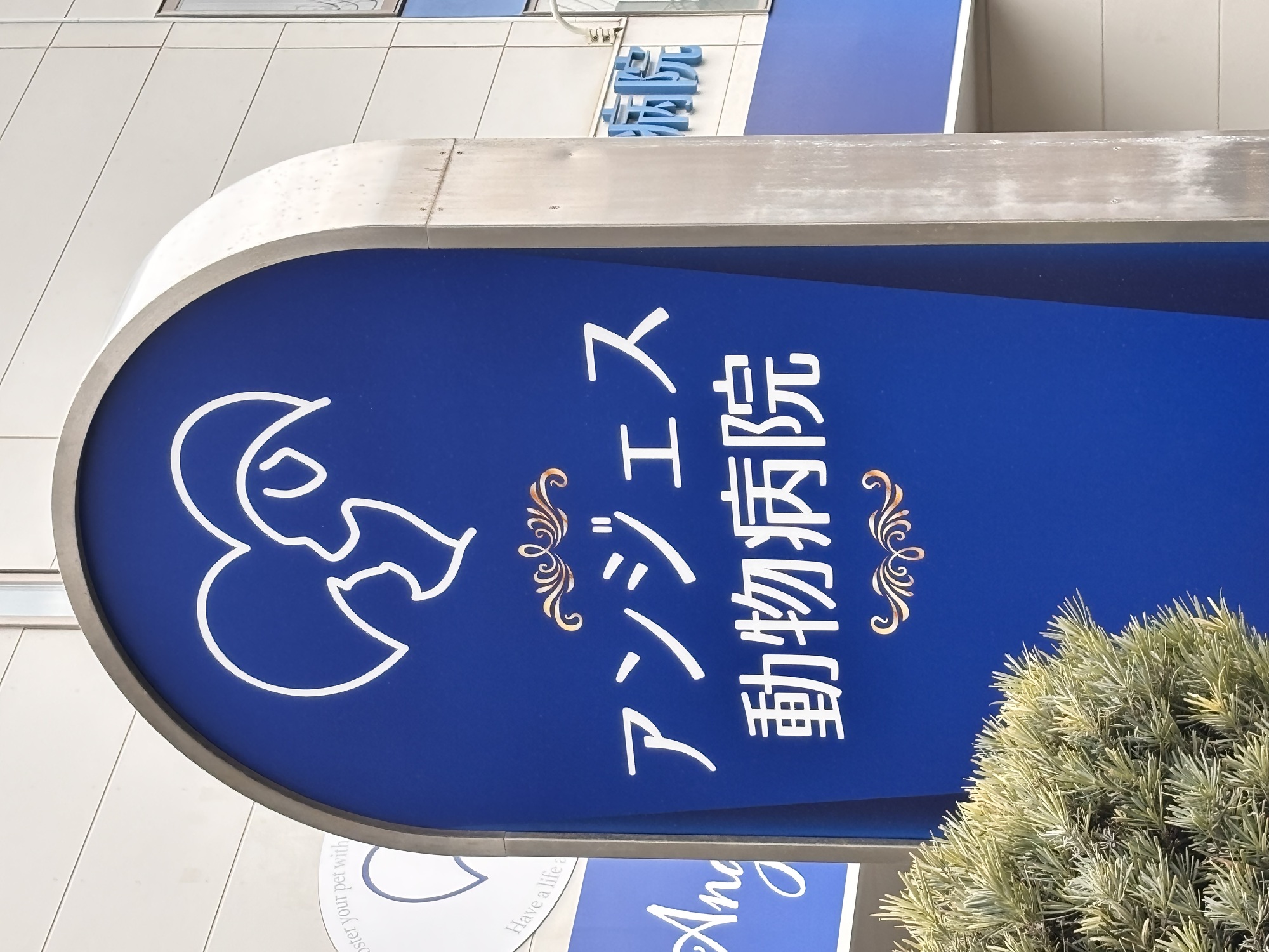 �ŔC���[�W